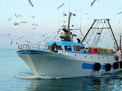 Al “Civic Center” (lunedì 13 febbraio) la riunione dell’Osservatorio della Pesca del Mediterraneo