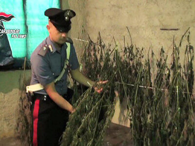 13 kg di cannabis sequestrati in un garage-laboratorio: tre gli arresti
