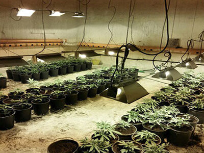 Scoperto un sofisticato sistema per coltivare cannabis:  arrestato un 38enne
