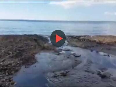 Sciacca. Il Cansalamone sta scaricando le fogne in mare (VIDEO): per Mareamico è disastro ambientale