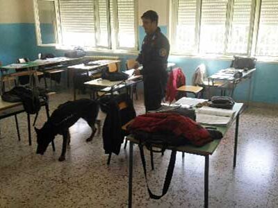 Sciacca. Controlli antidroga dei carabinieri, con il supporto del cane “Derby” presso gli istituti scolastici