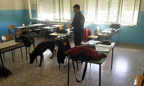 Sciacca. Controlli antidroga: il cane “Eschilo” trova hashish nel Liceo Scientifico “Enrico Fermi”
