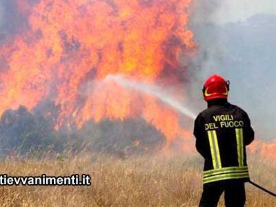 Incendi, Regione Sicilia: Un milione e mezzo di euro per convenzione coi Vigili del  fuoco per intensificare i servizi di terra