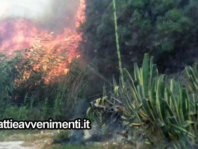 Secondo il Corpo Forestale l’incendio che ha devastato la zona “Bagni” sarebbe partito da un terreno privato
