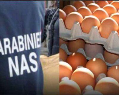 Carabinieri NAS: Non risulta alcun caso di contaminazione da Fipronil per le uova in Sicilia
