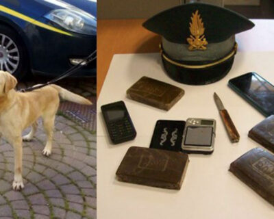 La  guardia di finanza arresta corriere proveniente da Palermo con 400 gr di hashish grazie al cane  antidroga TASKO