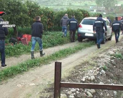 Ribera. Trafficante (Unsic): Continuano gli arresti per caporalato la Regione intensifichi i controlli