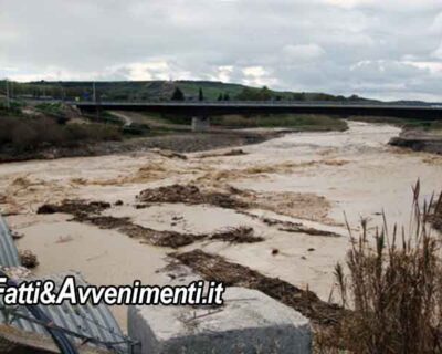 Ribera. Esonda – anche quest’anno – il fiume Verdura: danni agli agrumeti