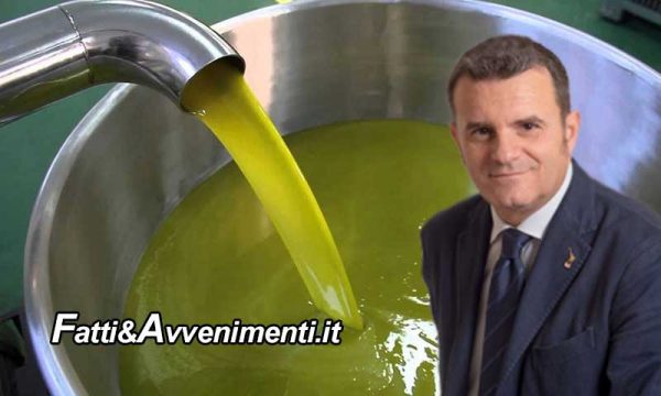 Olio tunisino a 3 euro senza dazi invade la Sicilia: produttori al collasso, il governo pronto allo scontro con l’UE