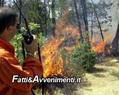 Ribera. Trafficante (Unsic): bene il servizio antincendio con l`impiego di 800 forestali