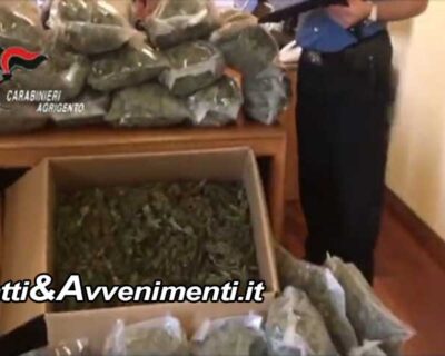 Naro (Ag). Scoperta maxi piantagione con 30 tonnellate di “Marijuana”, 15 milioni il valore: 3 arrestati