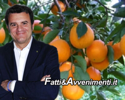 Le arance siciliane potranno essere esportate in Cina: Il Ministro CENTINAIO firma l’accordo con Pechino