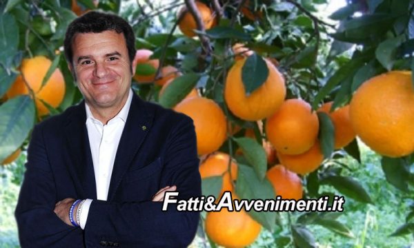 Le arance siciliane potranno essere esportate in Cina: Il Ministro CENTINAIO firma l’accordo con Pechino