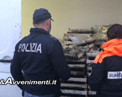 Palma di Montechiaro. Guardia Costiera e Polizia sequestrano 700kg di seppie pescate abusivamente: andranno in beneficenza