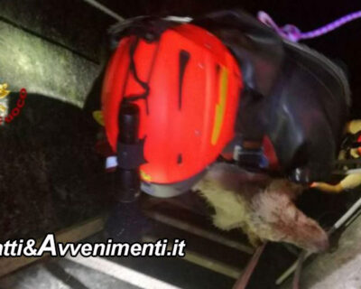 Caltagirone (CT). Cagnolino cade in un pozzo profondo 15 metri: salvato dai vigili del fuoco
