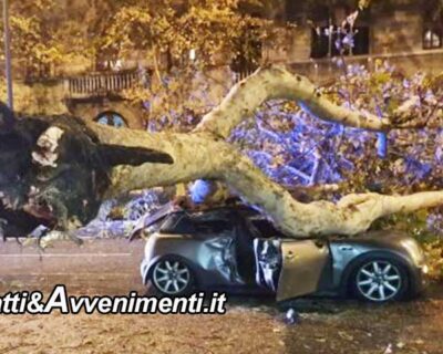 Messina. Maltempo, tragedia sfiorata, albero si abbatte su un’auto: due i feriti, grave la conducente – FOTO