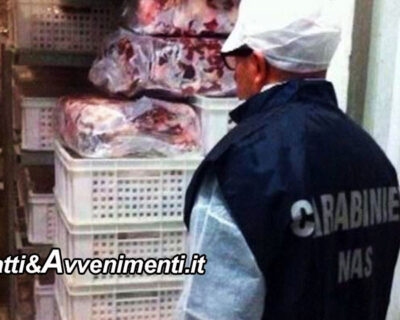 Caltanissetta. NAS sequestrano 8 tonnellate di carne destinata a mense scolastiche: scaduta con data contraffatta