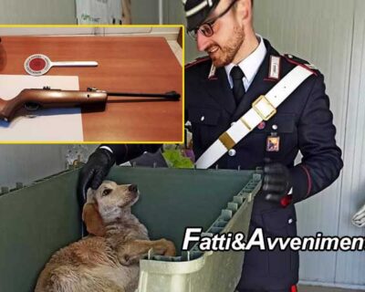 Castiglione di Sicilia (CT). Spara a un cane dal balcone: salvato dai carabinieri ma rimane paralizzato