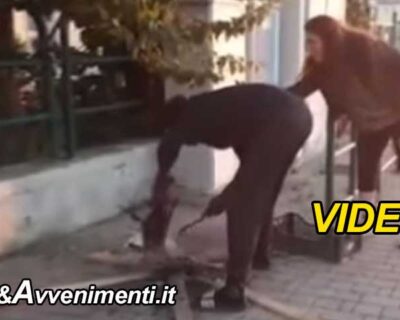 Livorno. Orrore: immigrato 21enne uccide un gatto e lo cucina in strada per mangiarlo: passanti inorriditi – VIDEO