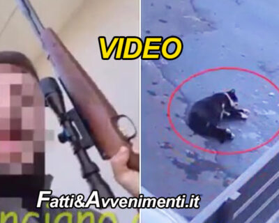 Catania. Spara e uccide il gatto con il fucile poi posta il video sui social: arrestato dalla polizia con un bliz
