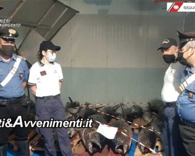 Sciacca. Carabinieri e Guardia Costiera sequestrano 750 chili di tonno rosso del valore di 7.500 euro