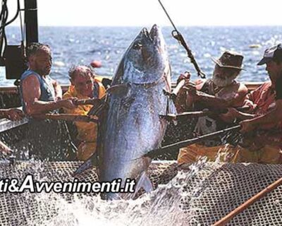 Pesca. Ugl su quota tonno rosso: la Sicilia ancora una volta penalizzata dall’UE