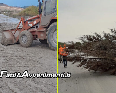 Maltempo in Provincia Agrigento. Strade invase dal fango e alberi abbattuti: numerosi interventi su strade provinciali
