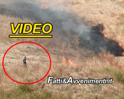 Sutera (CL). Guardie wwf beccano e filmano un incendiario mentre appicca il fuoco nelle campagne
