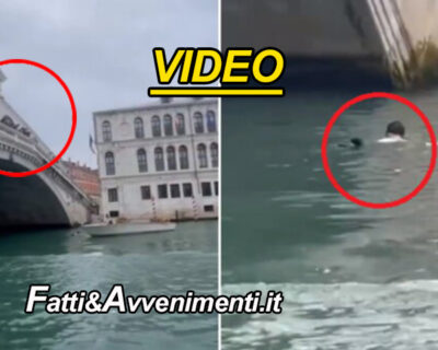 Venezia. Si fa un selfie sul bordo del ponte di Rialto ma cade in acqua: ripescata da un gondoliere – VIDEO