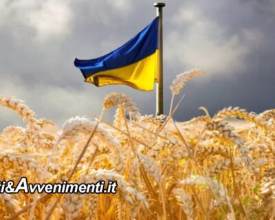 Scontri all’interno della Nato: l’Ucraina farà causa a Polonia, Ungheria e Slovacchia per l’embargo sul grano