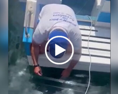 A San Vito Lo Capo (TP) il pesce si pesca facilmente a mani nude – VIDEO