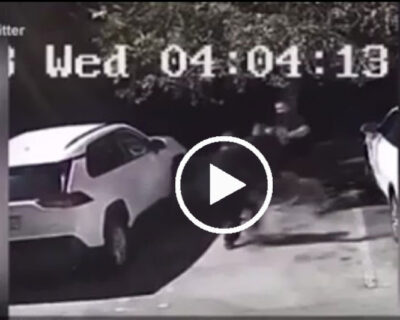 Malvivente tenta rapina in un parcheggio con un coltello ma trova l’uomo sbagliato che lo pesta e lo fa arrestare